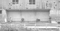 Montreal Snapshots, Streetcars from 1904 to 1932 (2007-2008)